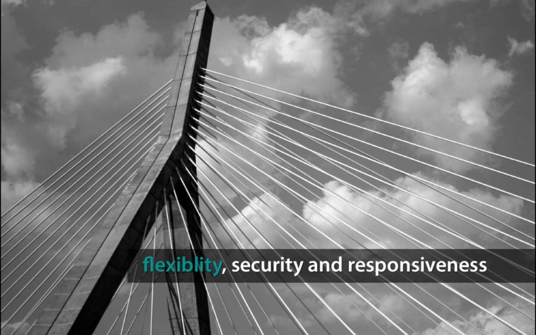 Digital Brochure for Wirepay Financial