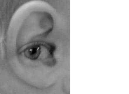 Perception is Reality