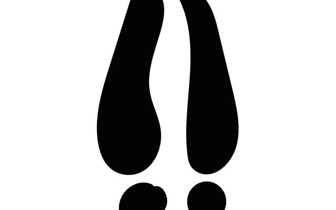 Branding. Leave Your Mark