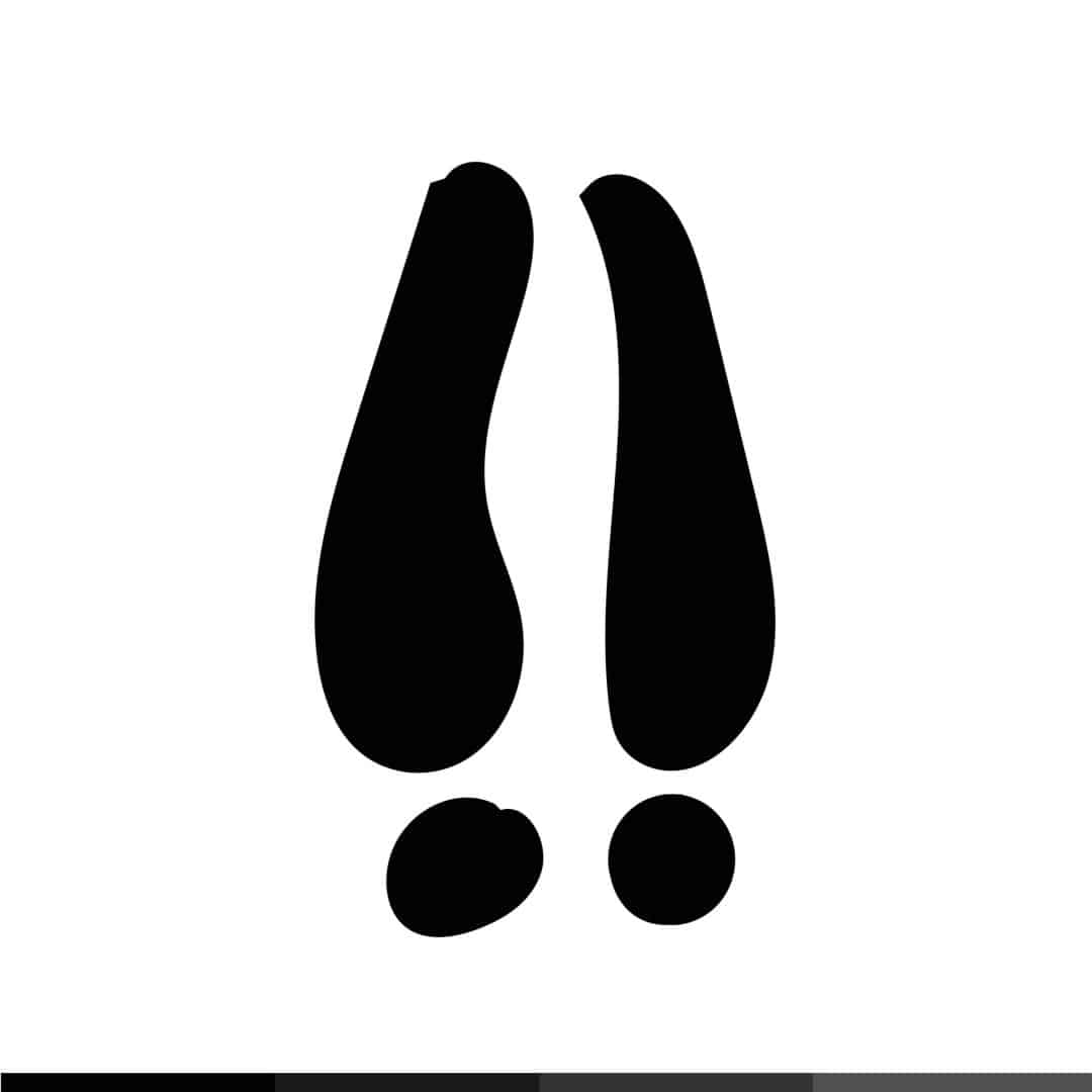 branding leave your mark