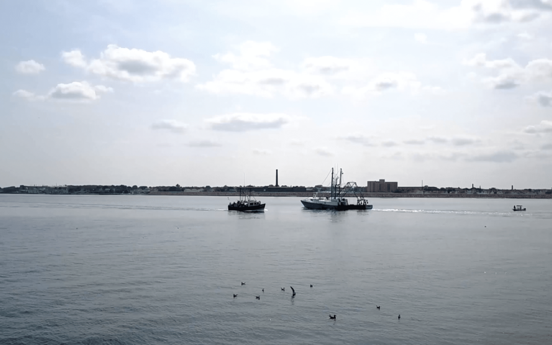 Spectrum Marketing Group Releases Brand Video for Northern Wind