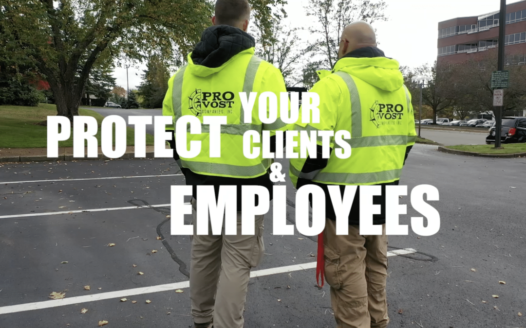 Spectrum Marketing Group Releases a Service Promo Video for Provost Companies