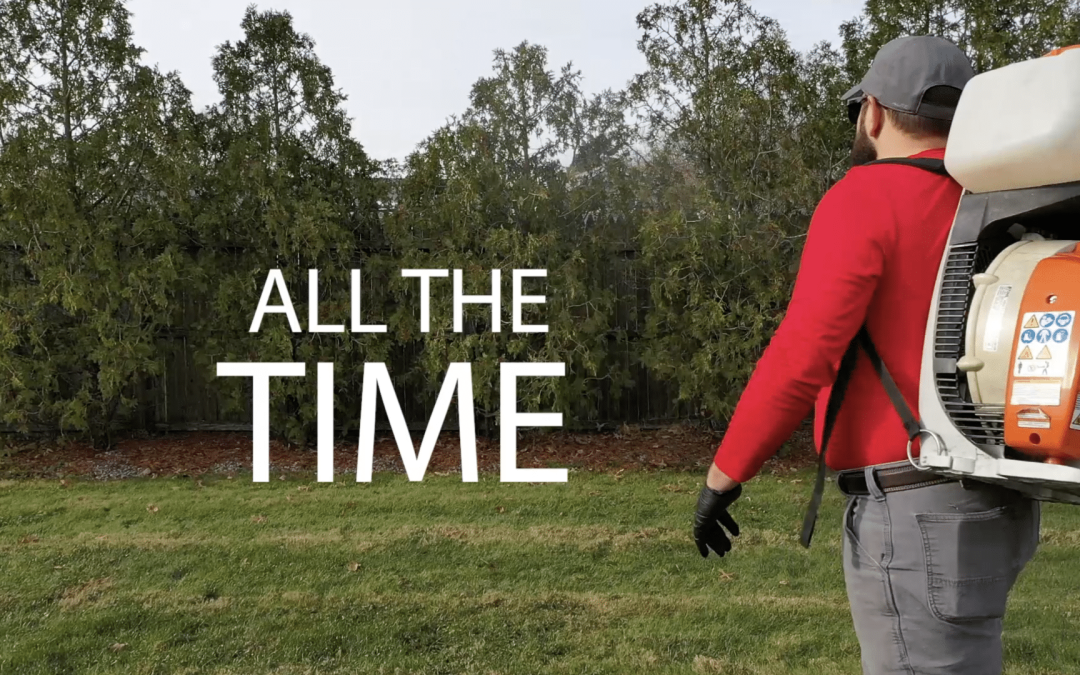 Spectrum Marketing Group Releases Service Promo Video for Profishant