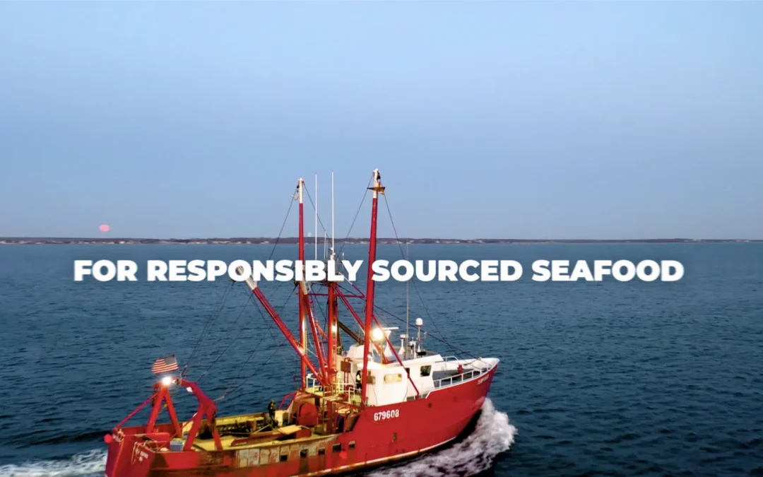 Northern Wind Overview