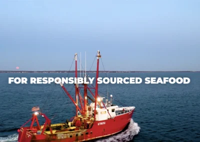 Northern Wind Overview