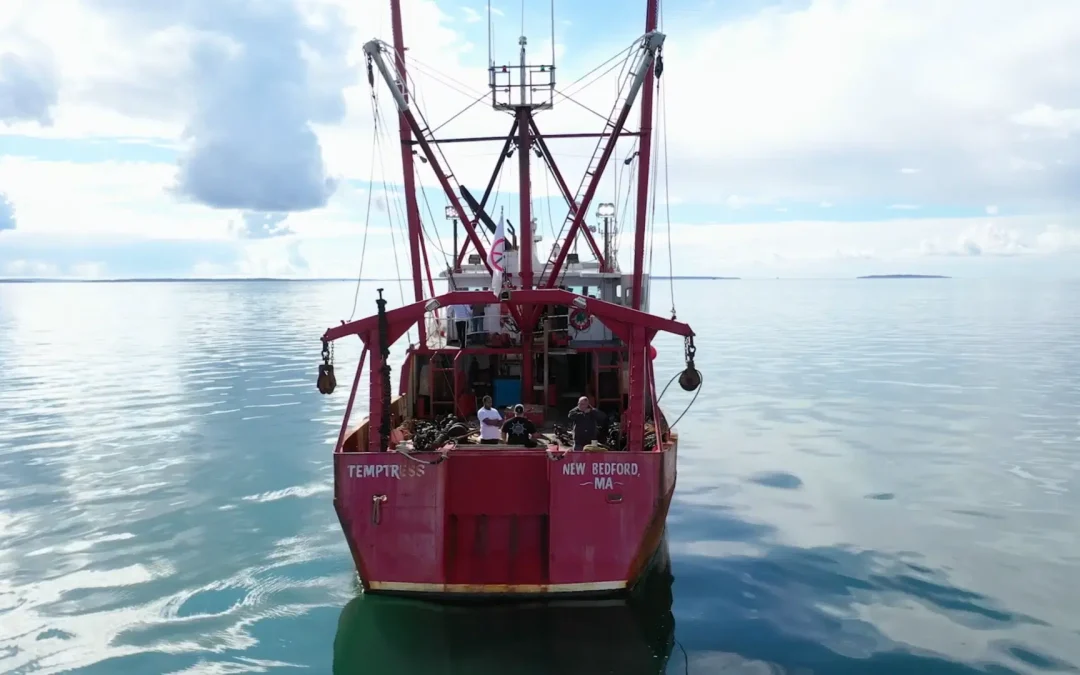 Northern Wind Sustainability Video